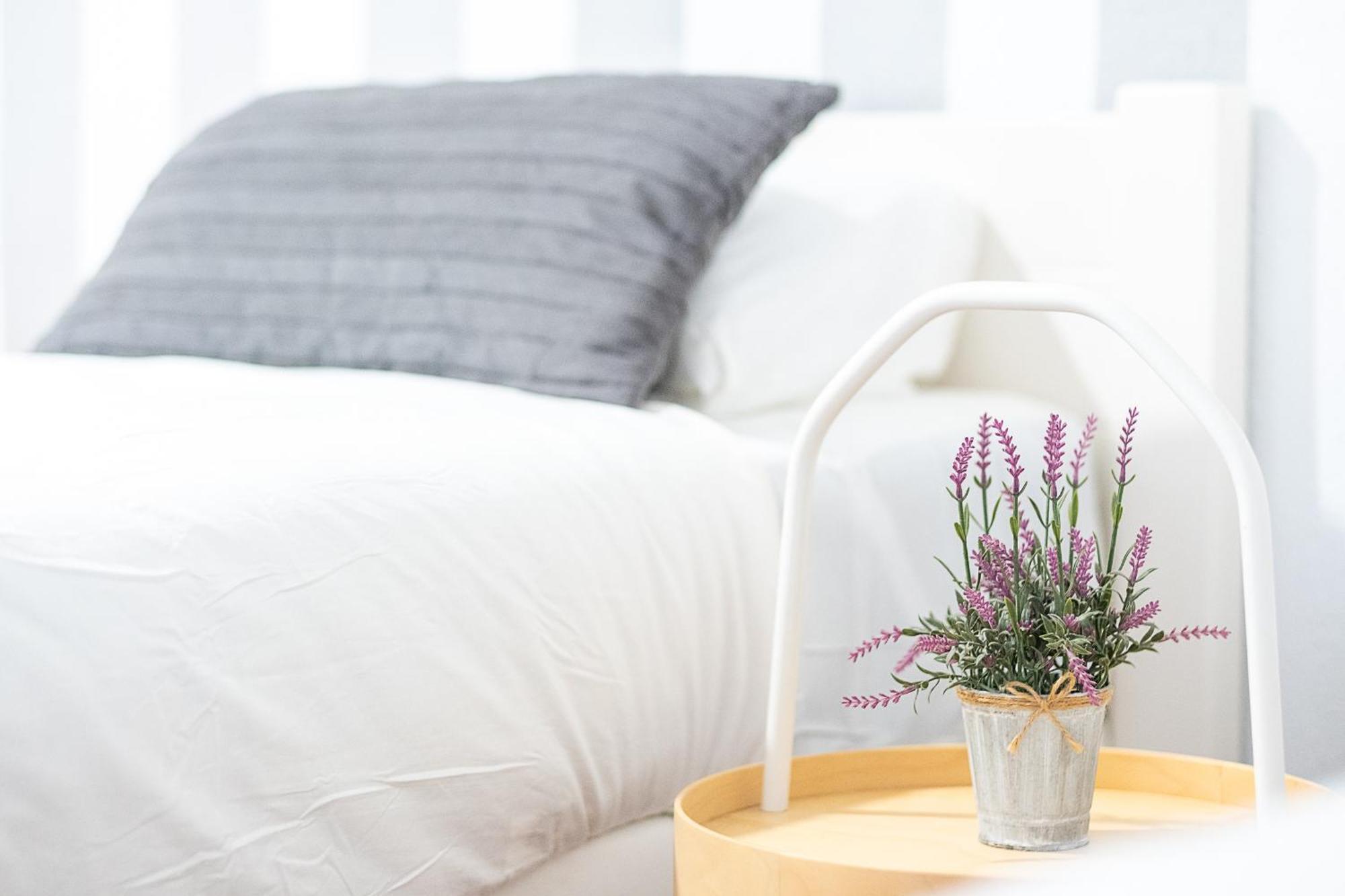 Apartament New Folch A *